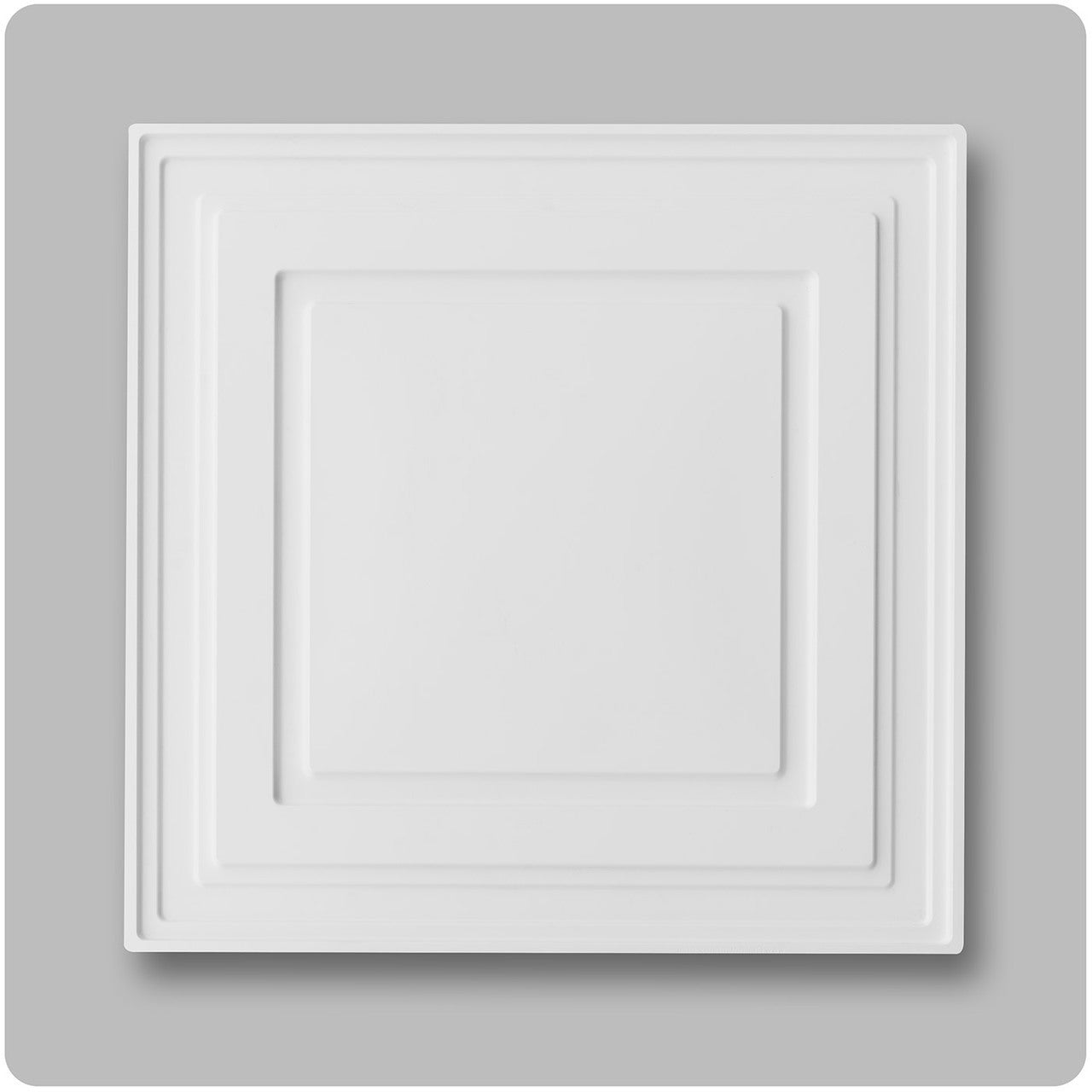 white ceiling tile - 2'x2' PVC panels